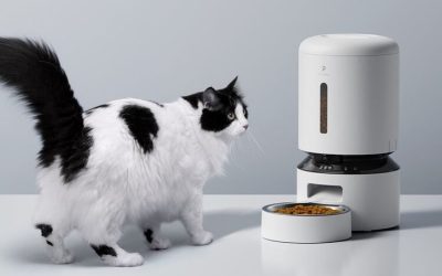 Delightful and Nutritious: Why Mealworms Make the Ultimate Pet Snack