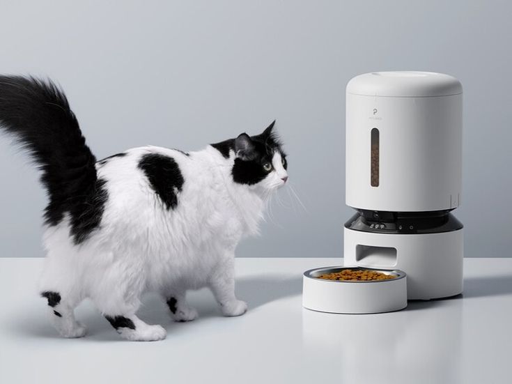 Delightful and Nutritious: Why Mealworms Make the Ultimate Pet Snack